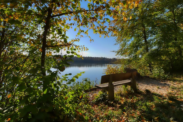 星光对决 星光对决