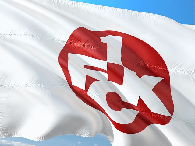 FLAG女