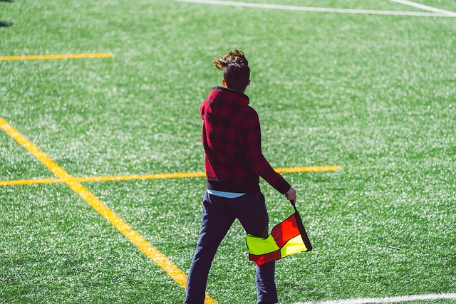 大将戈贝尔 大将戈贝尔