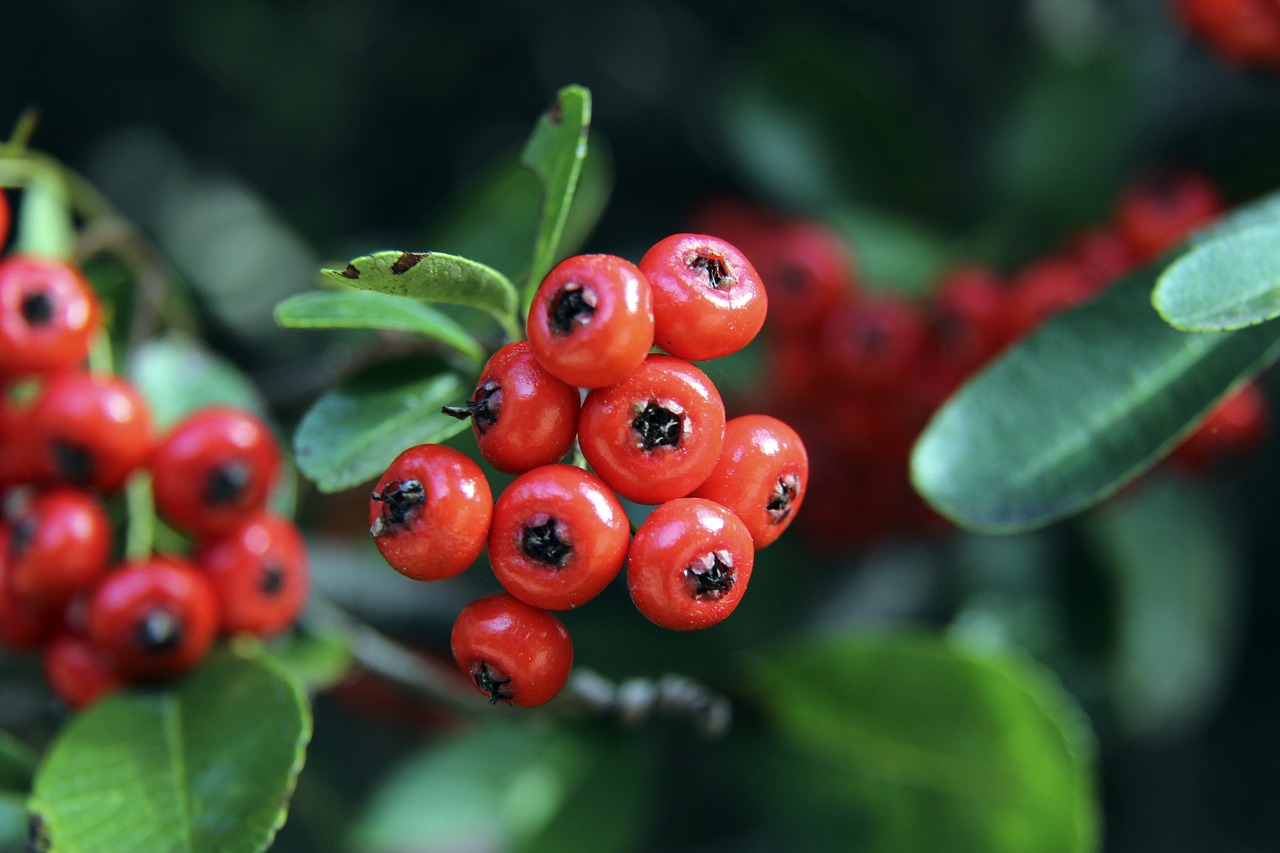 在总结失误 在总结失误