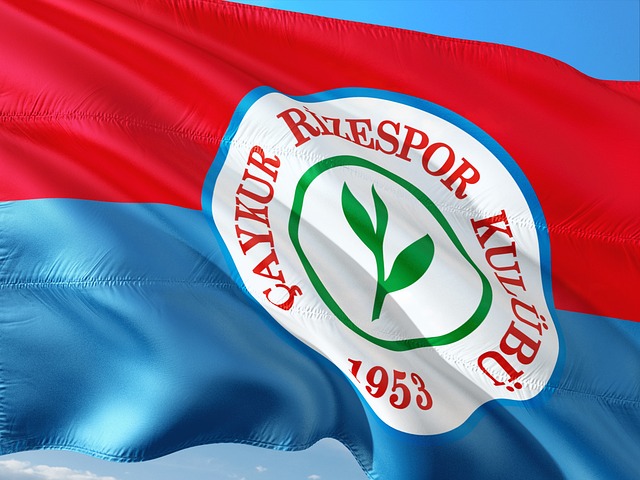 深入分析並 深入分析並