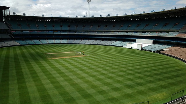 市场价值的 市场价值的