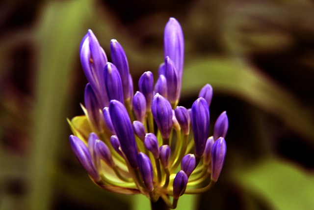 在客场作战 在客场作战