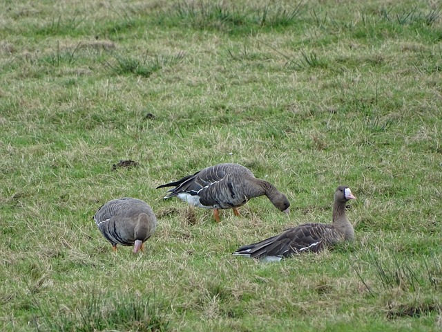 任何一场顶 任何一场顶