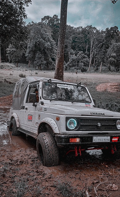 新材料领域 新材料领域