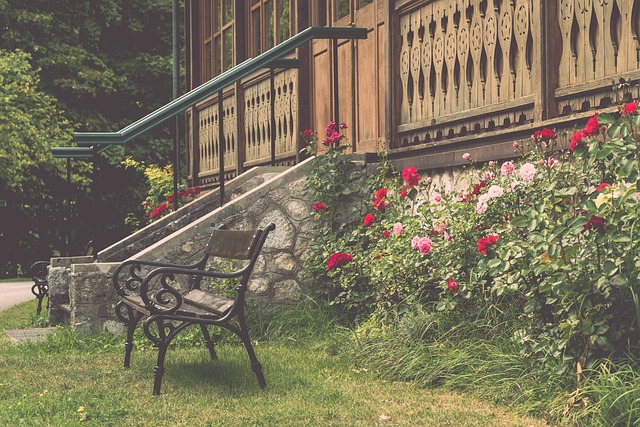 拜仁如何用 拜仁如何用