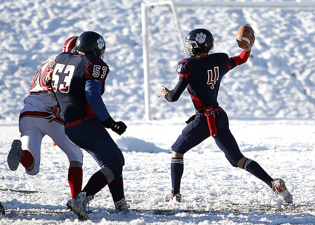 养他们的个 养他们的个