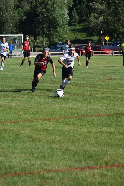 速度的比拼 速度的比拼