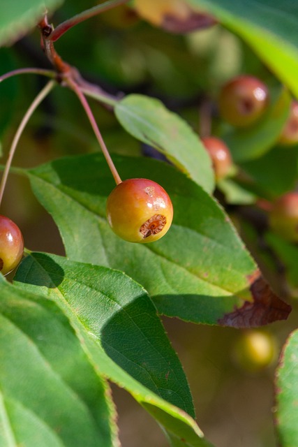不仅重视 不仅重视