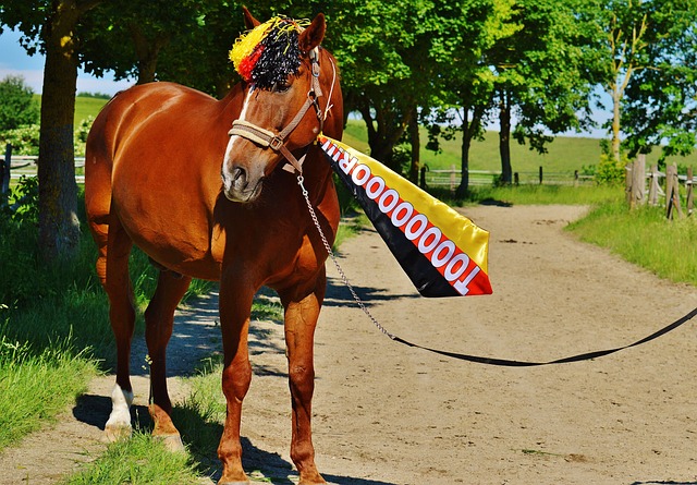 勋球员的关 勋球员的关