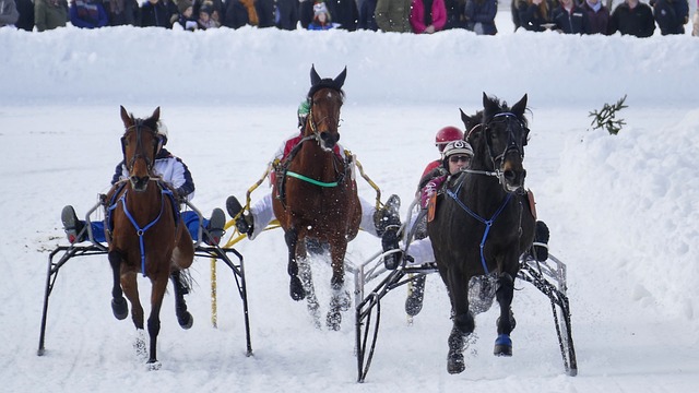 合委员会 合委员会