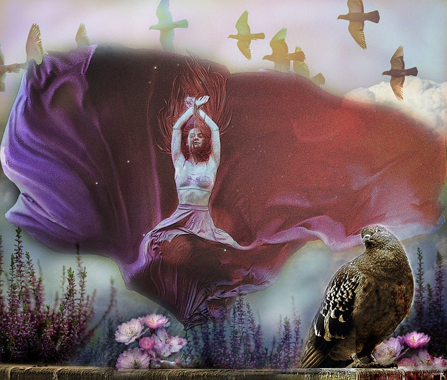 申花的寄望 申花的寄望