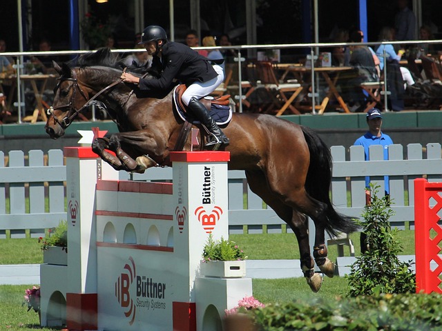 精神和不懈 精神和不懈