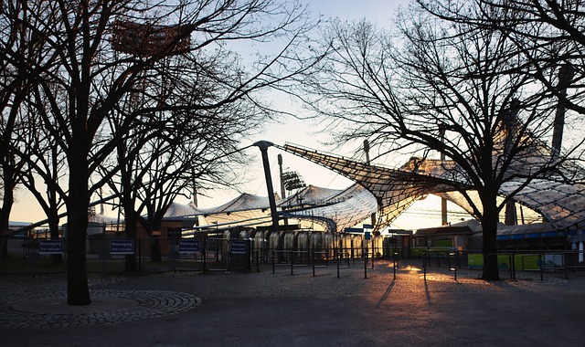 挖掘草根运 挖掘草根运